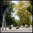 WHITE BIRCH KOUROS - 2003 - White Birch  - 171" x 70" x70" - Miscellaneous stones in background