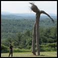 PINE MAN - 2007 - 25' tall